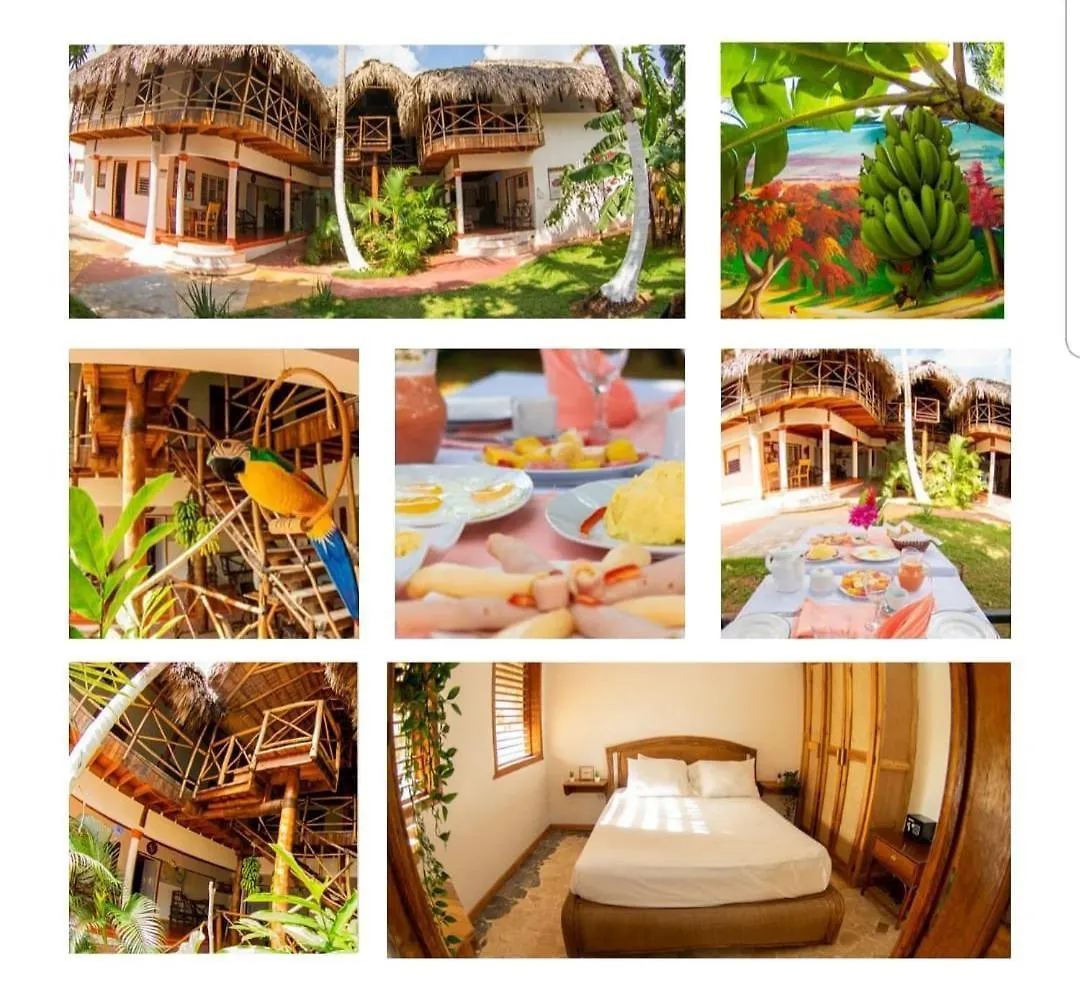 ***  Hotel Jardin Del Coco Las Galeras Repubblica Dominicana